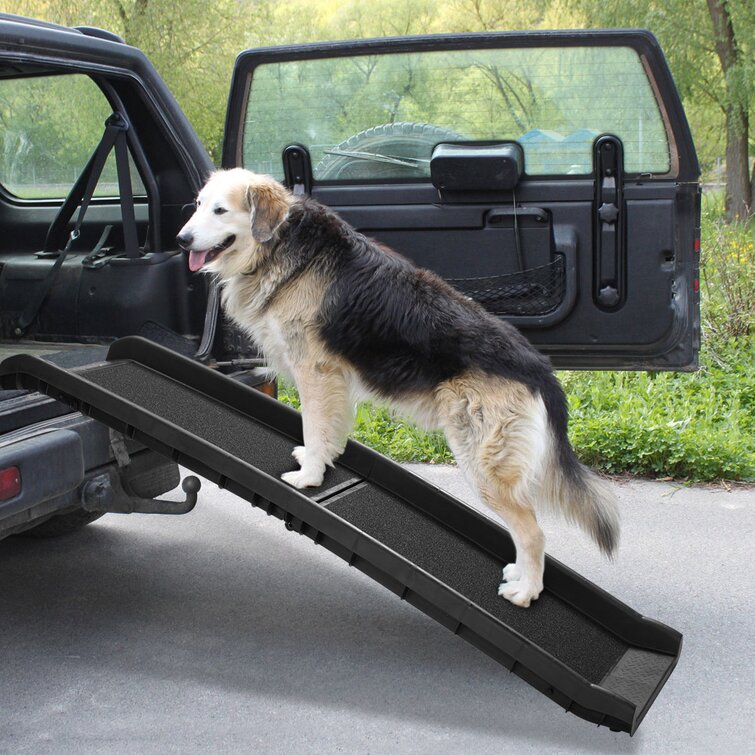 Dog ramp for large 2024 dogs